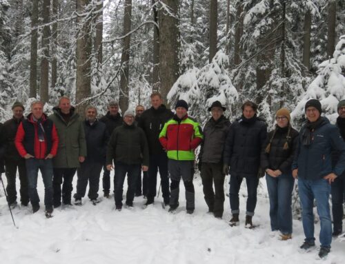 Innensanierung Rathaus startet im kommenden Frühjahr: hochwertiges Bauholz im Schwarzwald ausgesucht