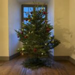 Geschmückter Christbaum