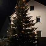 Geschmückter Christbaum in der Vorstadt in Mühlheim